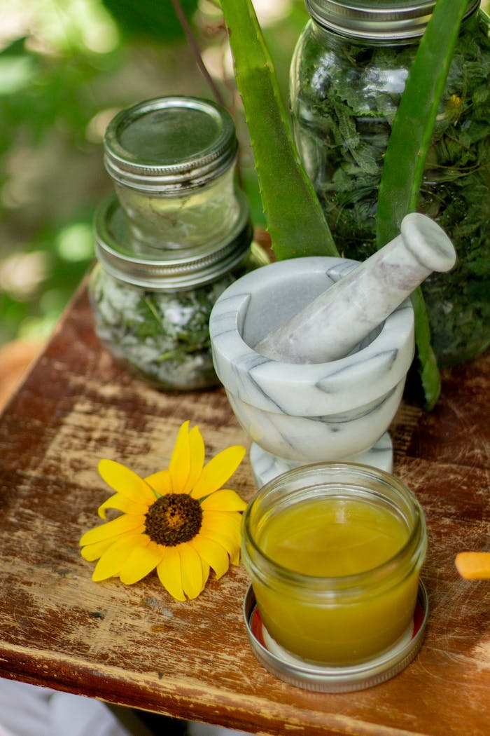 Herbs & Salves in Jars with Aloe Vera & Flowers